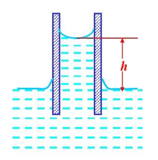 16473091138908865AF1.png 12.png