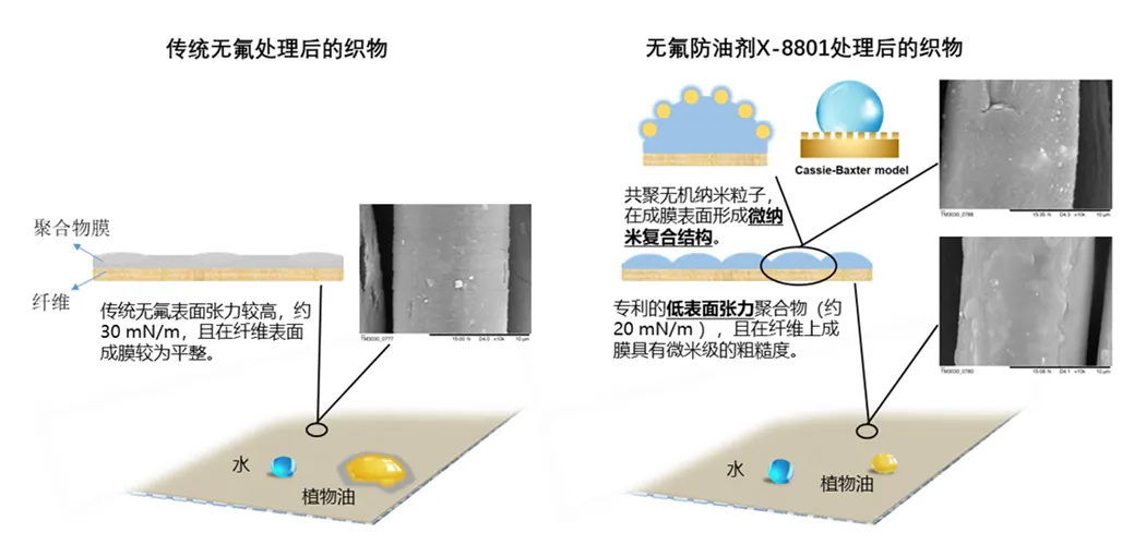 1719232113765081cT13.jpg 1-1.jpg